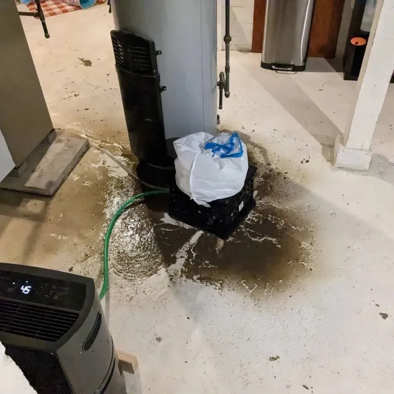 Sewage Backup Cleanup Service in Lee County, AR